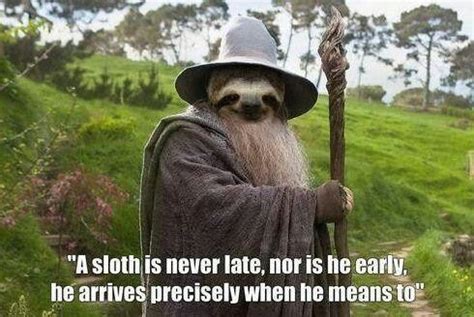 sloth lord of the rings